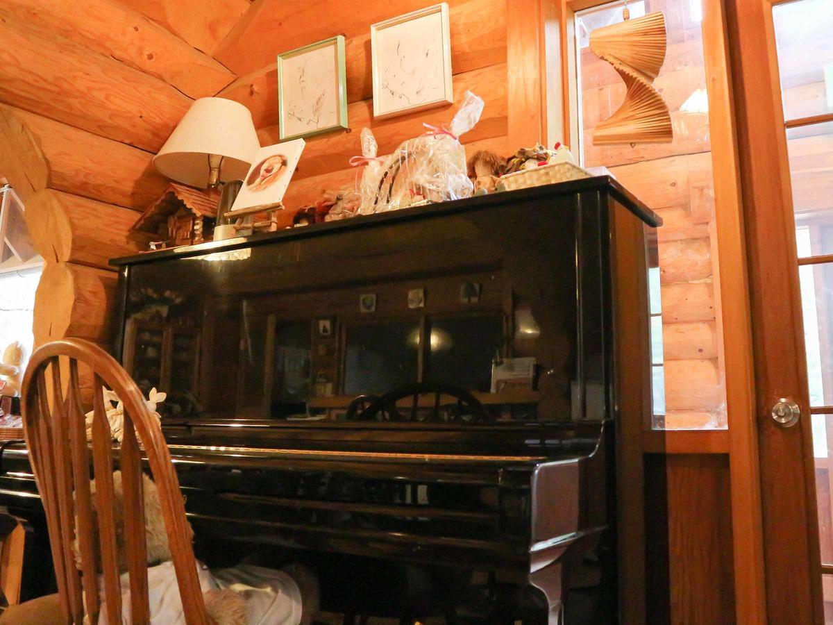 Canadian Loghouse Inn Azuminoyujin Exteriör bild